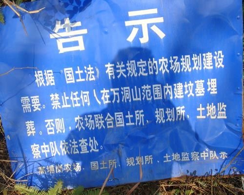 广东一农场建150座豪墓成