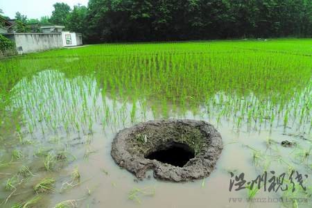 成都大邑县田间现“天坑” 深度达5米(图)