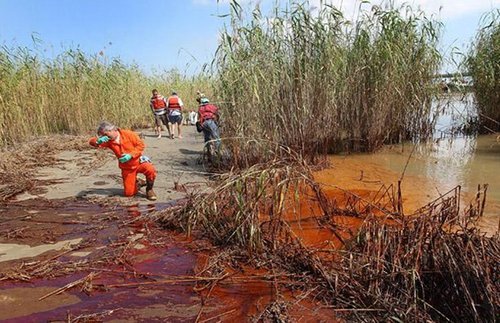 墨西哥湾油污继续蔓延 生态污染令人痛心(图)