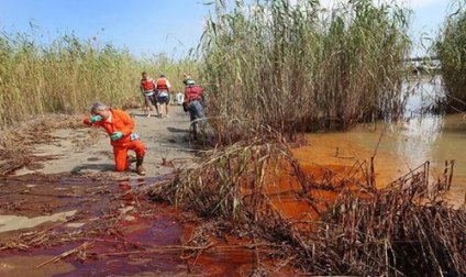 墨西哥湾油污继续蔓