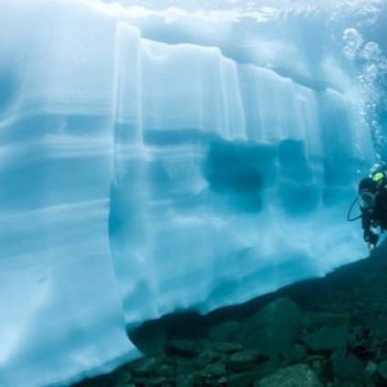  潜水摄影师拍摄到瑞士冰湖下奇特世界(组图) 