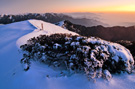 雪景图片-冬天合欢山的
