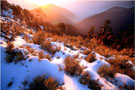 合欢山雪景－冬天游合欢