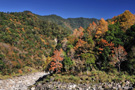 大风景需要大构图－秋天最后的灿烂 漫山遍野的红色和和绿色