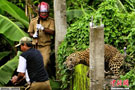 印度一美洲豹误闯村庄伤人被当地林业部门工作人员擒获