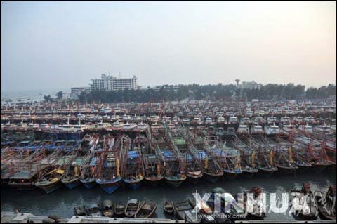 广西数千艘渔船进港躲避强台风“纳沙”