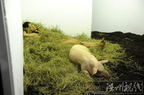 女行为艺术家玩另类：与猪裸睡