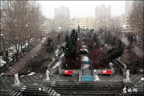 入春哈尔滨好大雪（组图）