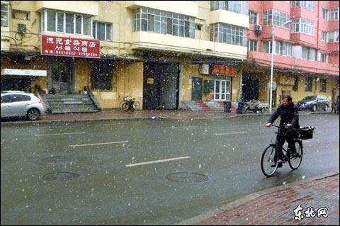 入春哈尔滨好大雪（组图）