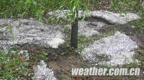 黑龙江桦南出现暴雨冰雹大风天气 农田受灾