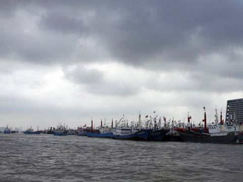 台风海葵对浙江交通影响 浙江台风海葵