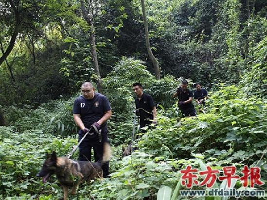重庆枪击案搜捕行动最新进展 警方发现疑为周克华藏匿过的山洞