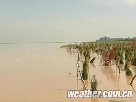 宁夏将出现明显降水 黄河防汛形势更加严峻