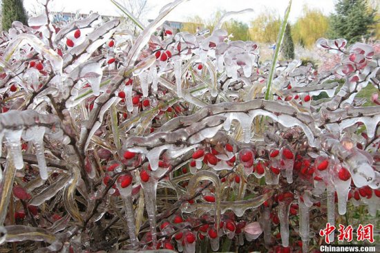 张家口蔚县暴雪