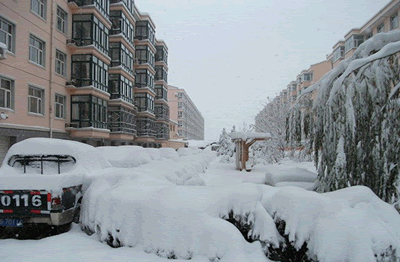 张家口蔚县暴雪 11月4日河北张家口蔚县大暴雪积雪44厘米