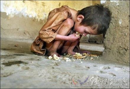 中国每年浪费的粮食700亿斤