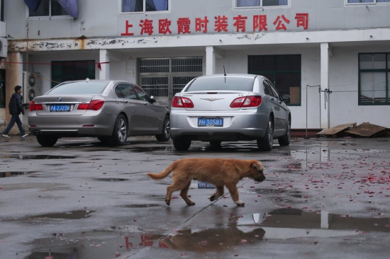 上海欧霞校服