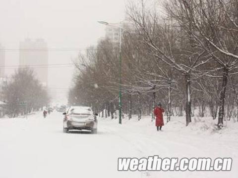 黑龙江三月飘雪