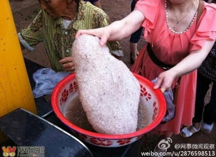宜宾遭遇冰雹袭击 冰雹堆积凝结形成巨型冰雹
