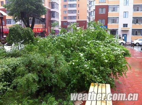 入夏最强降水袭黑龙江 哈尔滨连下8天雨部分学校停课