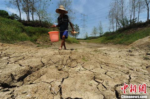 安徽干旱 持续高温旱情发展11.9万人饮水困难