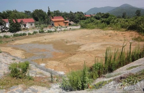 湖北京山干旱 旱情持续了三个月农作物颗粒无收