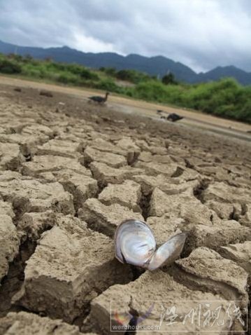 江西干旱 11市91个县区695.6万人受灾