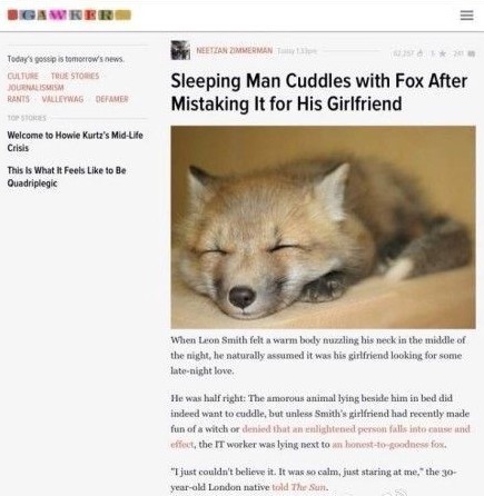 男子误把狐狸当女友
