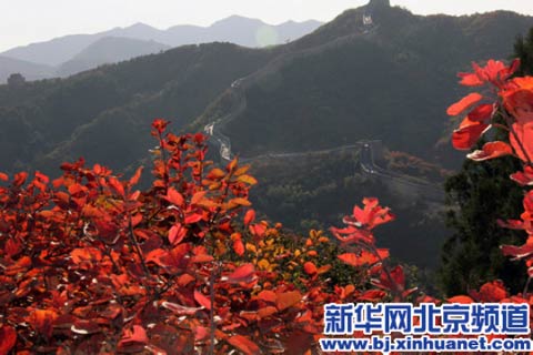 红得让你陶醉 秋季最靠谱赏红地推荐 