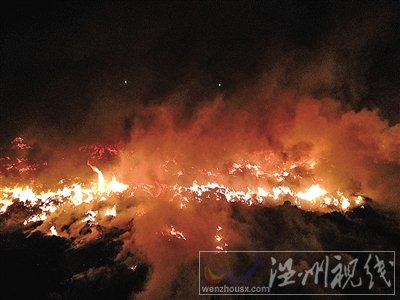 温州瓯浦垟一空地发生大火