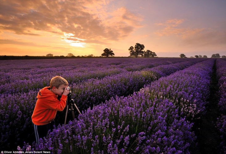 英国6岁摄影师奥利弗拍摄的风景大片