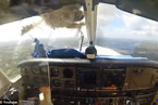 飞机撞鸟飞行员受伤 美国一只飞鸟撞飞机粉身碎骨