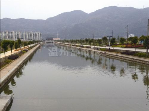 瑞安东河治理后河水质量改善