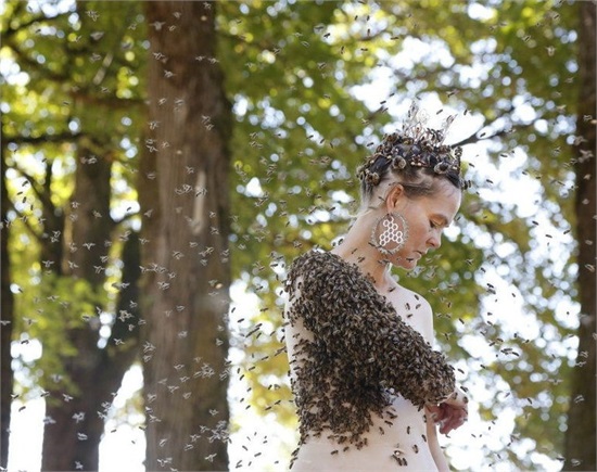 美国女子身披万只蜜蜂跳舞 身上有似蜂王的气味