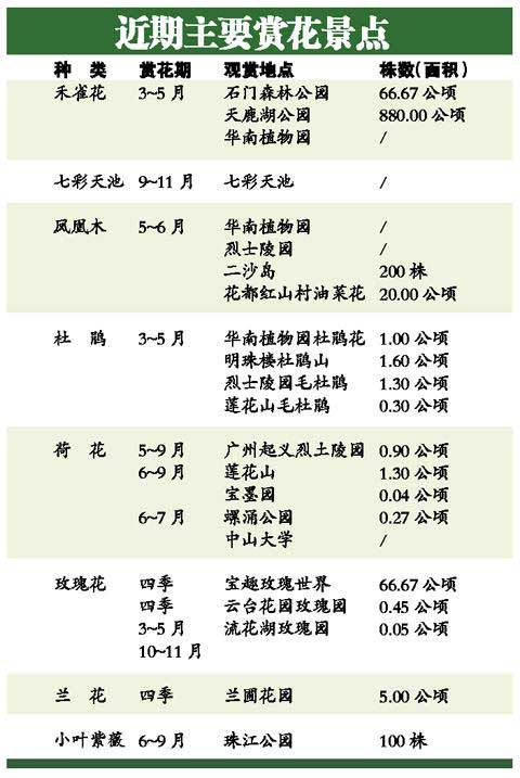 广州赏花地图