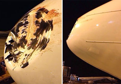海航飞机被鸟撞凹 机头雷达罩被撞出大窟窿