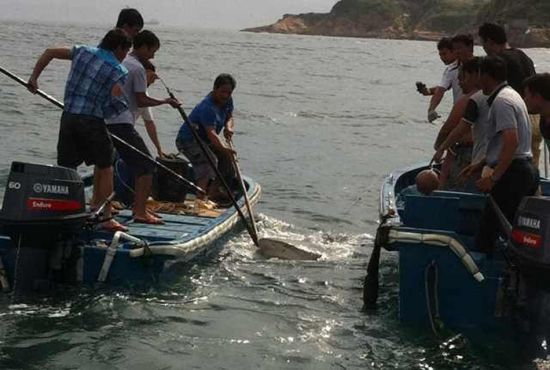 惠州渔民捕到巨鱼