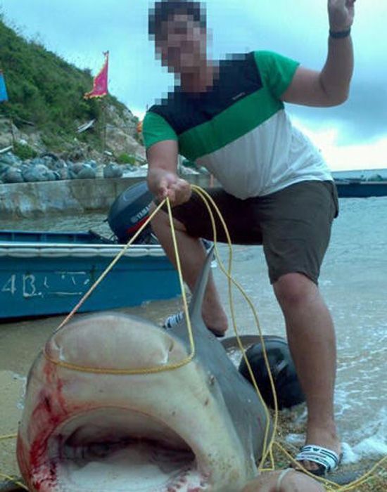 惠州渔民捕到巨鱼