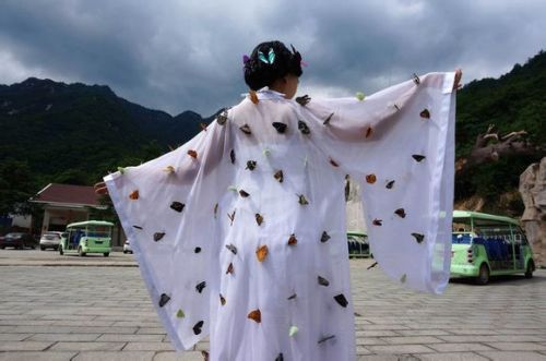 扎死蝴蝶装扮仙子