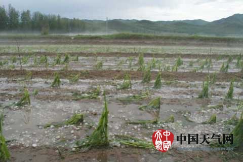 赤峰冰雹