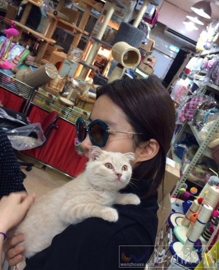 刘亦菲抱猫