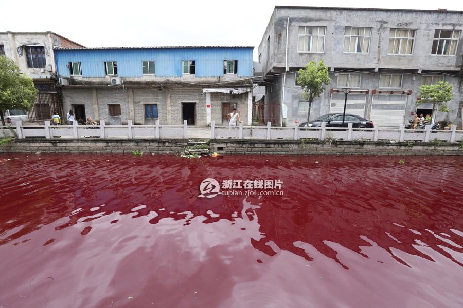 温州河水变血水 7月24日温州苍南一河水全部变成血一样的颜色