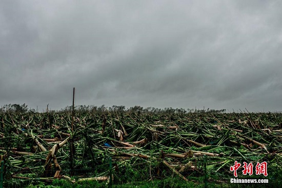 台风威马逊对徐闻的影响 整个县城水电通讯中断