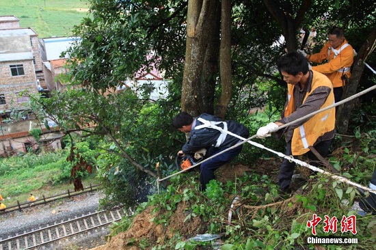 广西台风过后街头一片狼藉