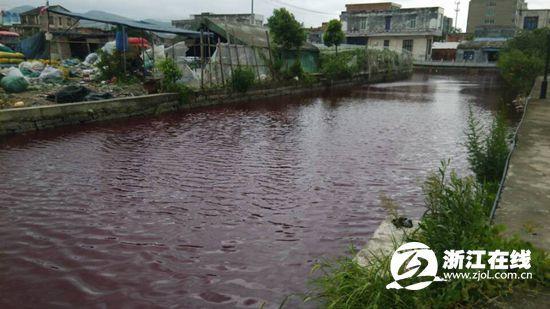 苍南内河河水变红