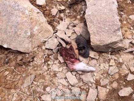 温州苍南采石场坍塌事故现场图片