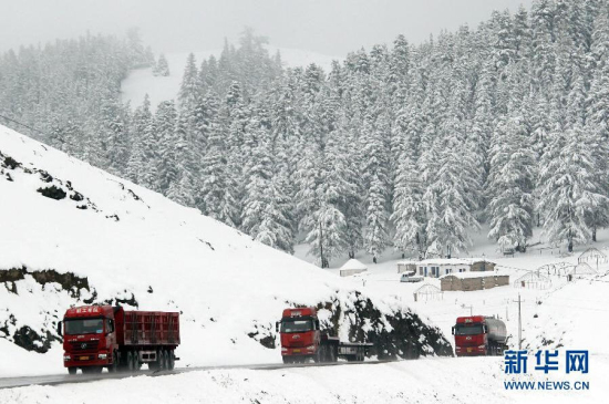 新疆哈密突降大雪