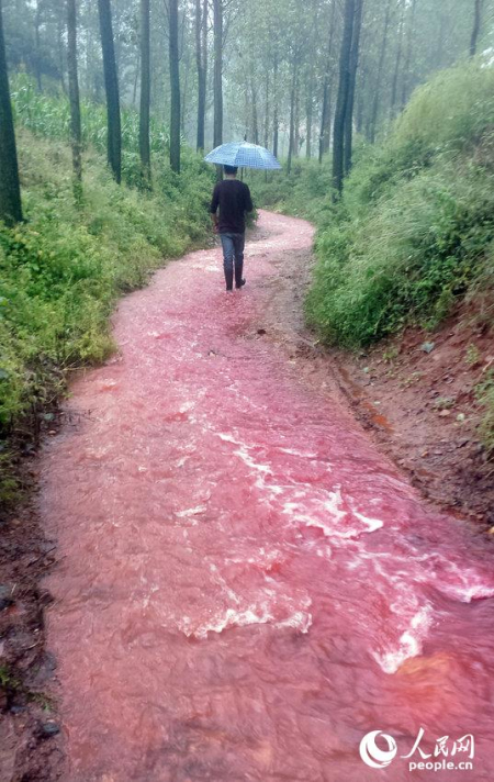 汝阳马兰河河水变血水