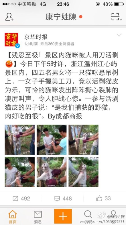 温州江心屿景区多名外地人活剥小猫