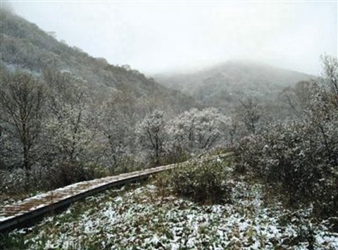 北京灵山五月飘雪，2015年5月9日北京灵山风景区下雪了